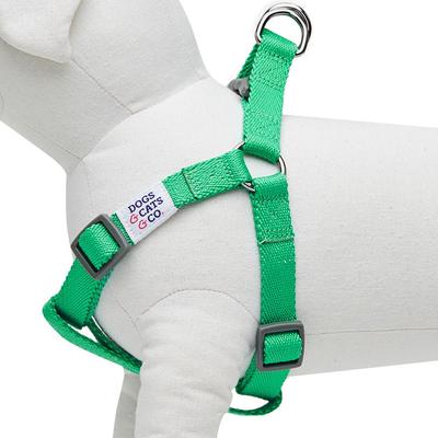 Show full view: Dogs & Cats & Co. Heavy Duty Classic Solid Color Step-In Dog Harness, Peacock Green, Medium: 20 to 26-in chest slide 5 of 8