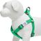 Show in main carousel: Dogs & Cats & Co. Heavy Duty Classic Solid Color Step-In Dog Harness, Peacock Green, Medium: 20 to 26-in chest slide 4 of 8