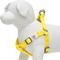 Show in main carousel: Dogs & Cats & Co. Heavy Duty Classic Solid Color Step-In Dog Harness, Vibrant Yellow, Small: 16.5 to 21.5-in chest slide 2 of 6