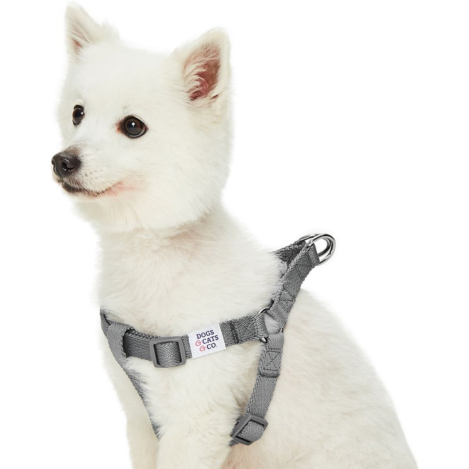 Dogs & Cats & Co. Heavy Duty Classic Solid Color Step-In Dog Harness, Wild Dove, Small: 16.5 to 21.5-in chest