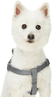 Show full view: Dogs & Cats & Co. Heavy Duty Classic Solid Color Step-In Dog Harness, Wild Dove, Small: 16.5 to 21.5-in chest slide 2 of 7