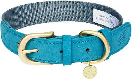 Show full view: Dogs & Cats & Co. Leather & Polyester Tricolor Striped Suede Dog Collar, Light Blue, Small: 15-in neck, 3/4-in wide slide 1 of 8