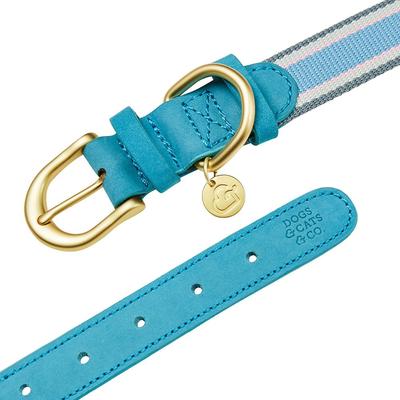 Show full view: Dogs & Cats & Co. Leather & Polyester Tricolor Striped Suede Dog Collar, Light Blue, Small: 15-in neck, 3/4-in wide slide 6 of 8