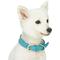 Show in main carousel: Dogs & Cats & Co. Leather & Polyester Tricolor Striped Suede Dog Collar, Light Blue, Small: 15-in neck, 3/4-in wide slide 3 of 8