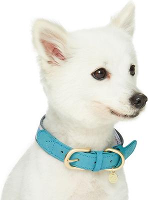 Show full view: Dogs & Cats & Co. Leather & Polyester Tricolor Striped Suede Dog Collar, Light Blue, Small: 15-in neck, 3/4-in wide slide 3 of 8