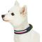 Show in main carousel: Dogs & Cats & Co. Leather & Polyester Tricolor Striped Suede Dog Collar, Navy Blue, Medium: 18-in neck, 1-in wide slide 4 of 8