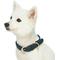 Show in main carousel: Dogs & Cats & Co. Leather & Polyester Tricolor Striped Suede Dog Collar, Navy Blue, Medium: 18-in neck, 1-in wide slide 3 of 8