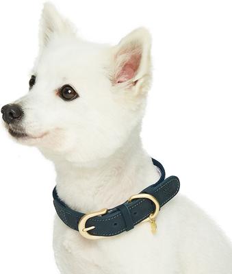 Show full view: Dogs & Cats & Co. Leather & Polyester Tricolor Striped Suede Dog Collar, Navy Blue, Medium: 18-in neck, 1-in wide slide 3 of 8