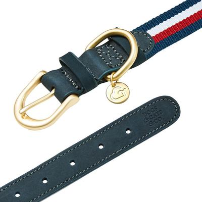 Show full view: Dogs & Cats & Co. Leather & Polyester Tricolor Striped Suede Dog Collar, Navy Blue, Small: 15-in neck, 3/4-in wide slide 5 of 7