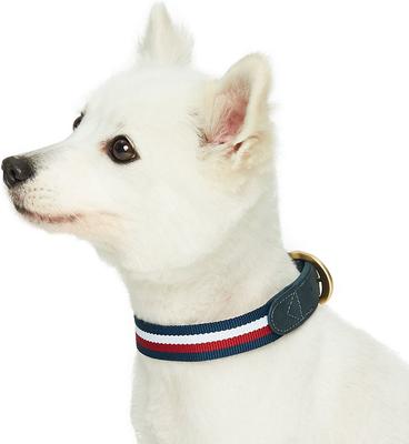 Show full view: Dogs & Cats & Co. Leather & Polyester Tricolor Striped Suede Dog Collar, Navy Blue, Small: 15-in neck, 3/4-in wide slide 3 of 7