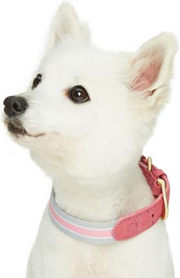 Show full view: Dogs & Cats & Co. Leather & Polyester Tricolor Striped Suede Dog Collar, Pink, Large: 22-in neck, 1-in wide slide 3 of 7