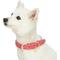 Show in main carousel: Dogs & Cats & Co. Leather & Polyester Tricolor Striped Suede Dog Collar, Pink, Small: 15-in neck, 3/4-in wide slide 2 of 7