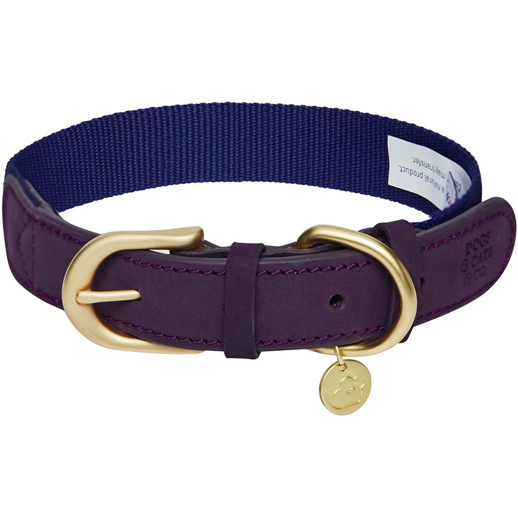 Dogs & Cats & Co. Leather & Polyester Tricolor Striped Suede Dog Collar, Purple, Small: 15-in neck, 3/4-in wide