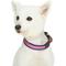 Show in main carousel: Dogs & Cats & Co. Leather & Polyester Tricolor Striped Suede Dog Collar, Purple, Small: 15-in neck, 3/4-in wide slide 3 of 7