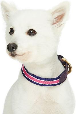 Show full view: Dogs & Cats & Co. Leather & Polyester Tricolor Striped Suede Dog Collar, Purple, Small: 15-in neck, 3/4-in wide slide 3 of 7