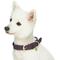 Show in main carousel: Dogs & Cats & Co. Leather & Polyester Tricolor Striped Suede Dog Collar, Purple, Small: 15-in neck, 3/4-in wide slide 2 of 7