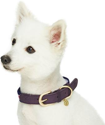 Show full view: Dogs & Cats & Co. Leather & Polyester Tricolor Striped Suede Dog Collar, Purple, Small: 15-in neck, 3/4-in wide slide 2 of 7