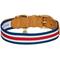 Show in main carousel: Dogs & Cats & Co. Leather & Polyester Tricolor Striped Suede Dog Collar, Taupe, Large: 22-in neck, 1-in wide slide 4 of 7