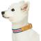Show in main carousel: Dogs & Cats & Co. Leather & Polyester Tricolor Striped Suede Dog Collar, Taupe, Large: 22-in neck, 1-in wide slide 3 of 7