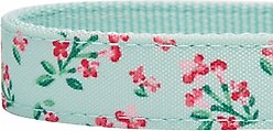 Dogs & Cats & Co. Lilac Flower Polyester Dog Collar, Pastel Green, Large: 20.5-in neck, 1-in wide slide 2 of 6