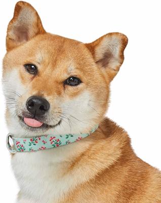 Show full view: Dogs & Cats & Co. Lilac Flower Polyester Dog Collar, Pastel Green, Large: 20.5-in neck, 1-in wide slide 2 of 7