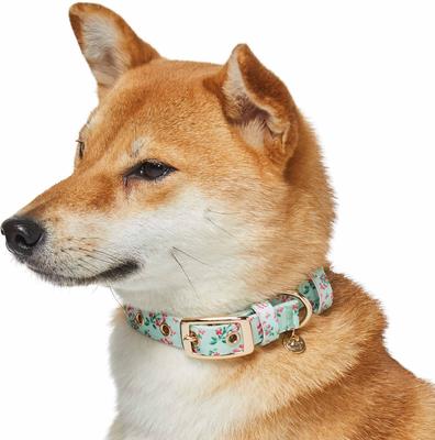 Show full view: Dogs & Cats & Co. Lilac Flower Polyester Dog Collar, Pastel Green, Large: 20.5-in neck, 1-in wide slide 3 of 7