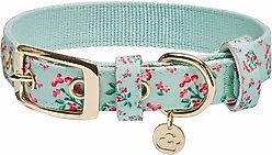 Dogs & Cats & Co. Lilac Flower Polyester Dog Collar, Pastel Green, Small: 12.5-in neck, 5/8-in wide