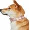 Show in main carousel: Dogs & Cats & Co. Lilac Flower Polyester Dog Collar, Pink, Large: 20.5-in neck, 1-in wide slide 2 of 7
