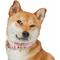 Show in main carousel: Dogs & Cats & Co. Lilac Flower Polyester Dog Collar, Pink, Large: 20.5-in neck, 1-in wide slide 3 of 7