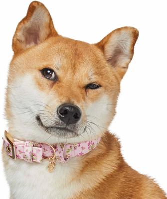 Show full view: Dogs & Cats & Co. Lilac Flower Polyester Dog Collar, Pink, Large: 20.5-in neck, 1-in wide slide 3 of 7