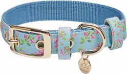 Dogs & Cats & Co. Lilac Flower Polyester Dog Collar, Sky Blue, Small: 12.5-in neck, 5/8-in wide