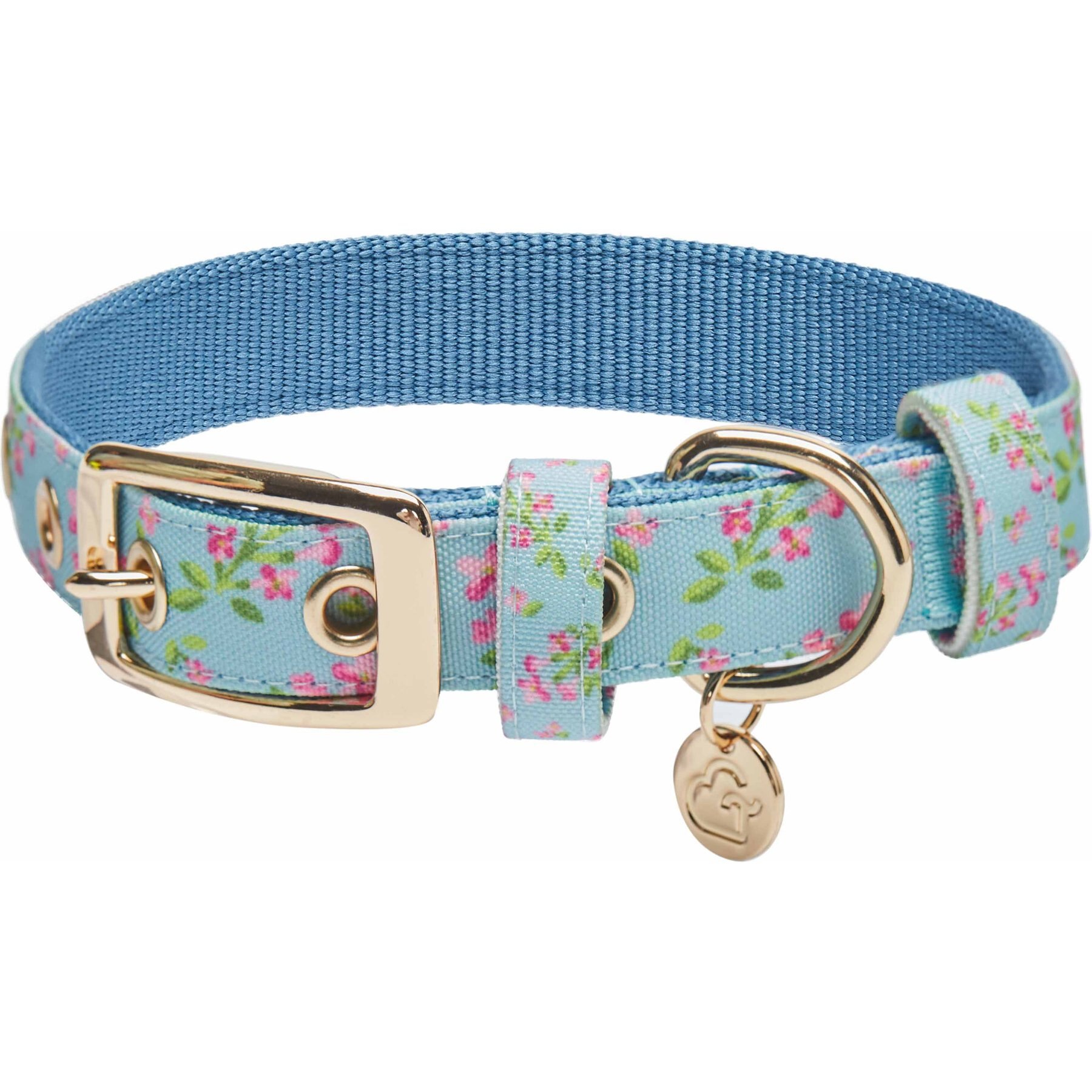 Dogs & Cats & Co. Lilac Flower Polyester Dog Collar, Sky Blue, Small: 12.5-in neck, 5/8-in wide