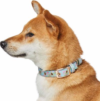 Show full view: Dogs & Cats & Co. Lilac Flower Polyester Dog Collar, Sky Blue, Small: 12.5-in neck, 5/8-in wide slide 3 of 7