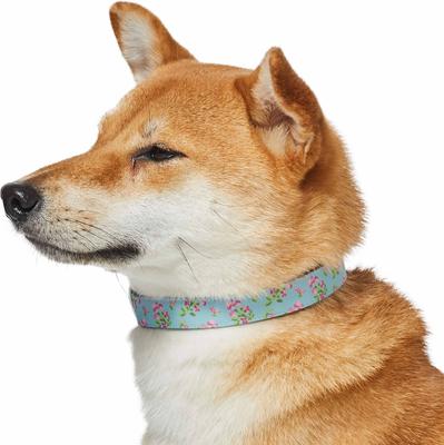 Show full view: Dogs & Cats & Co. Lilac Flower Polyester Dog Collar, Sky Blue, Small: 12.5-in neck, 5/8-in wide slide 2 of 7