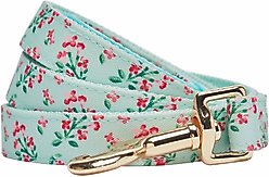 Dogs & Cats & Co. Lilac Flower Polyester Dog Leash, Pastel Green, Large: 4-ft long, 1-in wide