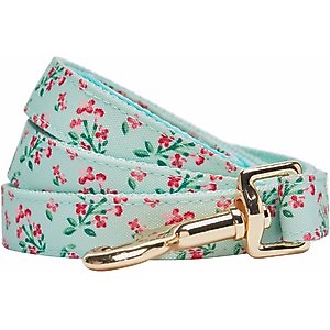Dogs & Cats & Co. Lilac Flower Polyester Dog Leash, Pastel Green, Medium: 5-ft long, 5/8-in wide