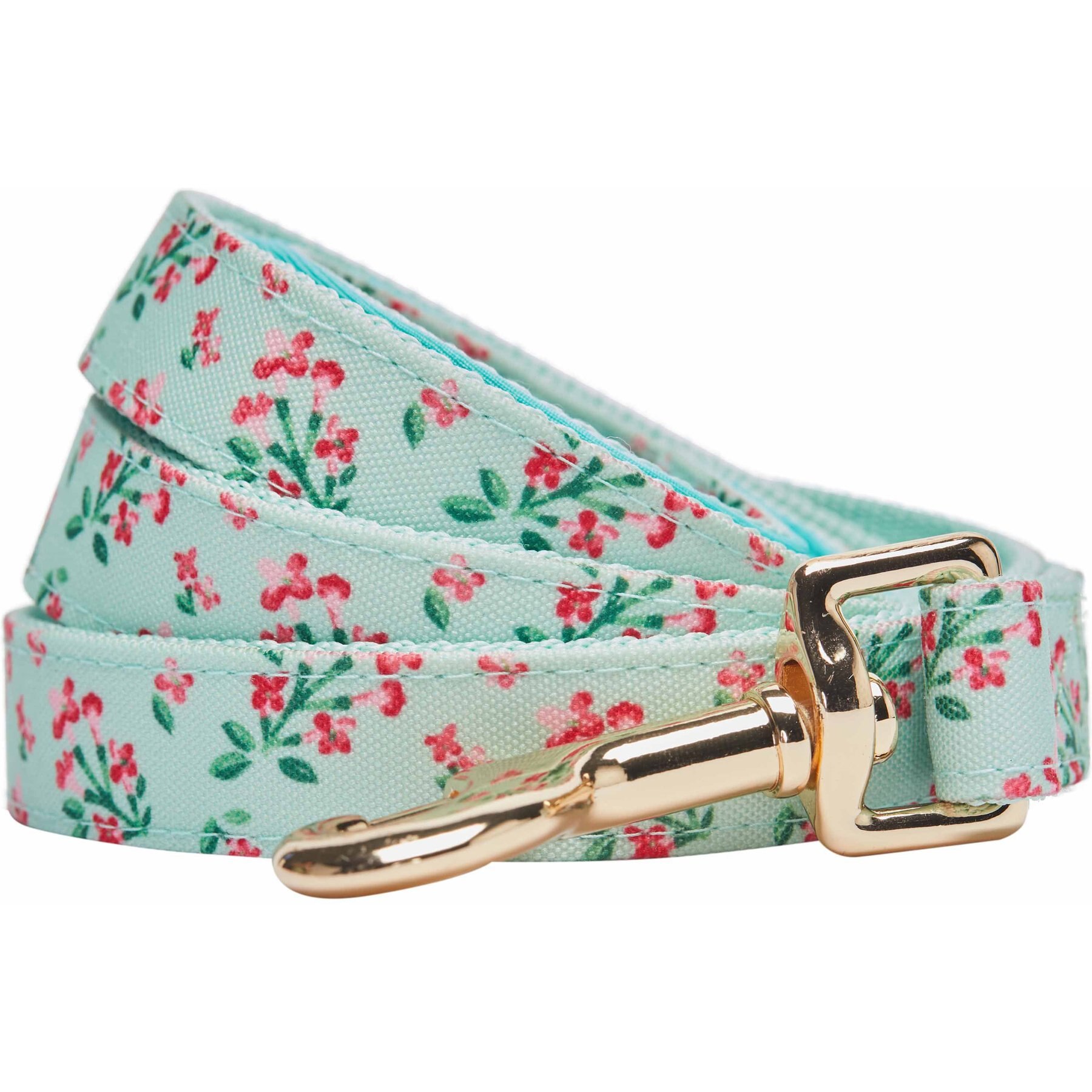 Dogs & Cats & Co. Lilac Flower Polyester Dog Leash, Pastel Green, Small: 5-ft long, 3/4-in wide