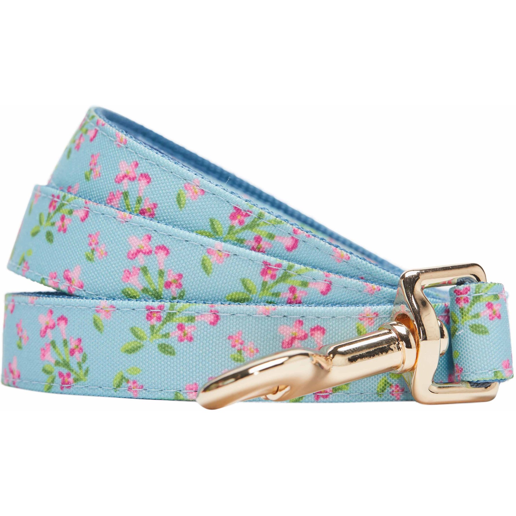 Dogs & Cats & Co. Lilac Flower Polyester Dog Leash, Sky Blue, Medium: 5-ft long, 5/8-in wide