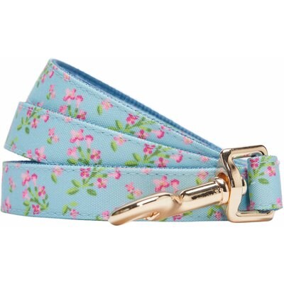 Dogs & Cats & Co. Dogs & Cats & Co. Lilac Flower Polyester Dog Leash, Sky Blue, Medium: 5-ft long, 5/8-in wide