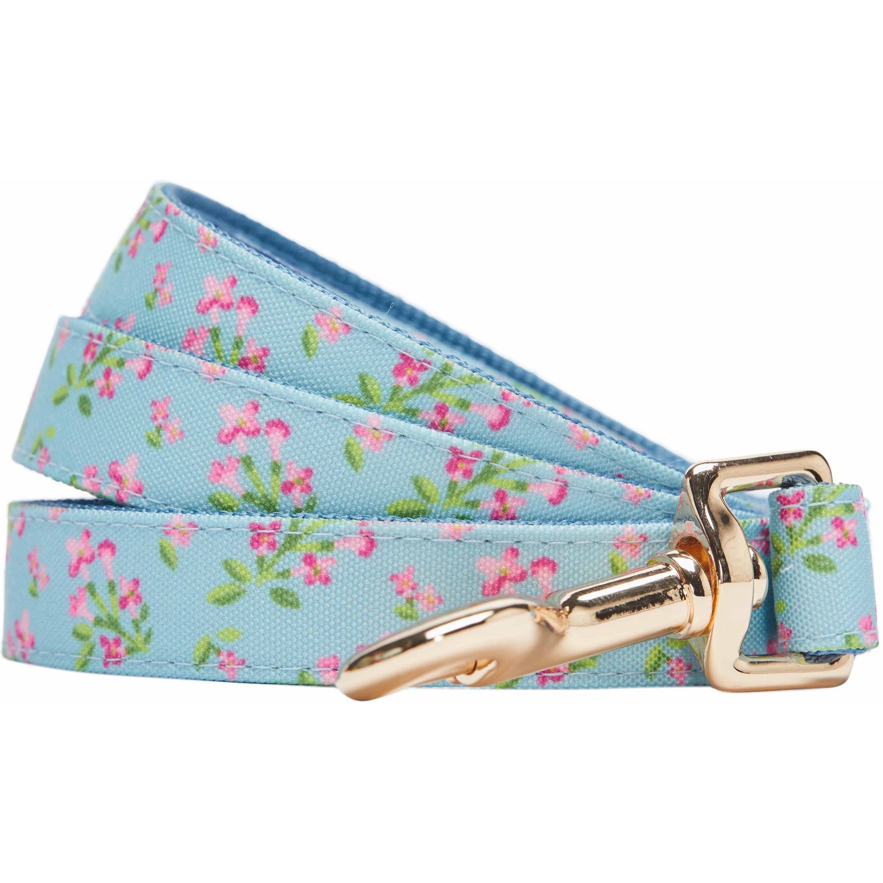 Dogs & Cats & Co. Lilac Flower Polyester Dog Leash, Sky Blue, Small: 5-ft long, 3/4-in wide