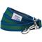 Show in main carousel: Dogs & Cats & Co. Multi-Functional with Duo Closure Polyester Dog Leash, Navy/Green, Medium: 5-ft long, 3/4-in wide slide 1 of 6