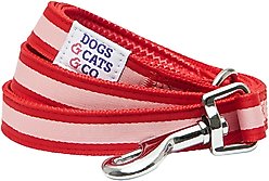 Dogs & Cats & Co. Multi-Functional with Duo Closure Polyester Dog Leash, Red/Pink, Small: 5-ft long, 5/8-in wide