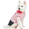 Show in main carousel: Dogs & Cats & Co. Peter Pan Collar Denim Stripes Dog Tank Dress, Pink, 10-in slide 2 of 7