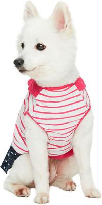 Show full view: Dogs & Cats & Co. Peter Pan Collar Denim Stripes Dog Tank Dress, Pink, 20-in slide 3 of 7