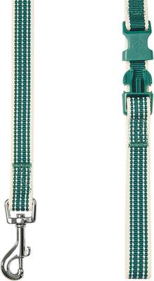 Show full view: Dogs & Cats & Co. Polyester 3M Reflective Dog Leash, Dark Green, Large: 4-ft long, 1-in wide slide 3 of 4