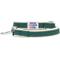 Show in main carousel: Dogs & Cats & Co. Polyester 3M Reflective Dog Leash, Dark Green, Large: 4-ft long, 1-in wide slide 2 of 4