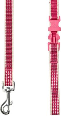 Show full view: Dogs & Cats & Co. Polyester 3M Reflective Dog Leash, Rosy Pink, Large: 4-ft long, 1-in wide slide 3 of 4