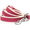Show in main carousel: Dogs & Cats & Co. Polyester 3M Reflective Dog Leash, Rosy Pink, Small: 5-ft long, 3/4-in wide slide 1 of 5