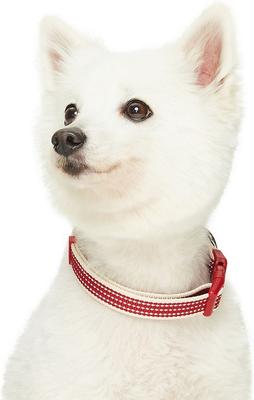 Show full view: Dogs & Cats & Co. Polyester 3M Reflective Safety Dog Collar, Burgundy Red, Large: 26-in neck, 1-in wide slide 3 of 6