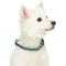 Show in main carousel: Dogs & Cats & Co. Polyester 3M Reflective Safety Dog Collar, Dark Green, Medium: 20-in neck, 3/4-in wide slide 4 of 7